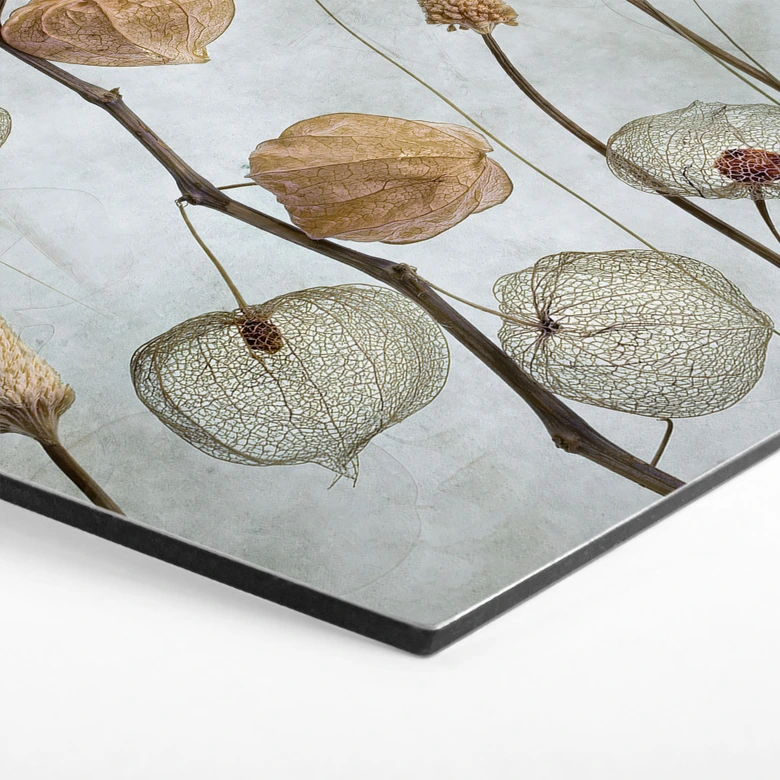 Hexagon Dibond Gedroogde lampionbloemen - Disher 