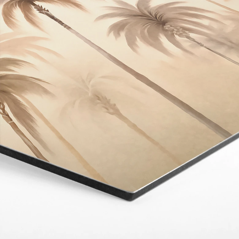 Hexagone - alu-Dibond Paysage tropical avec palmiers - Haase 