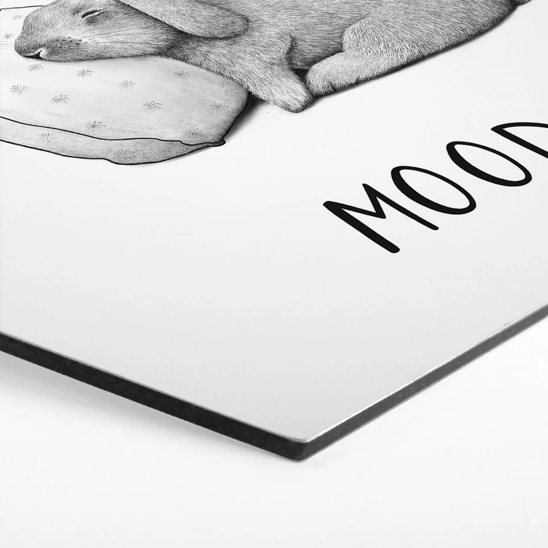 Hexagon Wandbild Monday mood - Hase am Montagmorgen - Alu-Dibond 