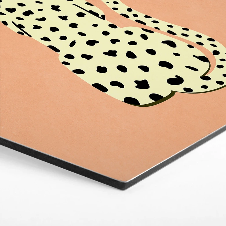 Wandbild Eleganter Gepard mit Sonnenbrille - Oltmanns - Alu-Dibond 