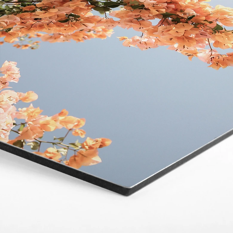 Hexagon Dibond Perzikkleurige bloesems in Assos - Shot by Clint 