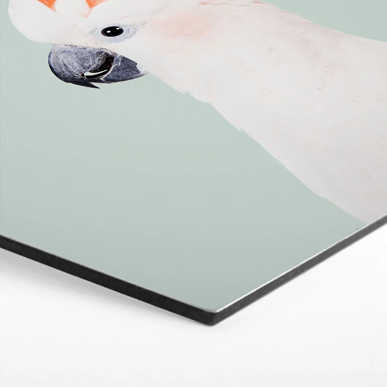 Hexagon Dibond Roze kaketoe dierenportret - Sisi & Seb 