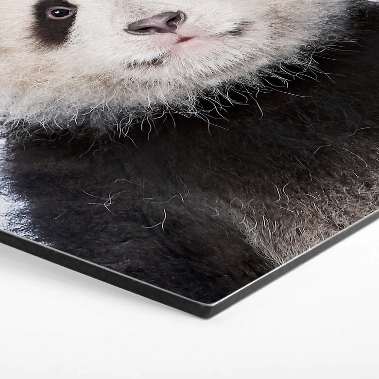 Hexagon - Alu-Dibond - Sisi & Seb - Baby Panda 