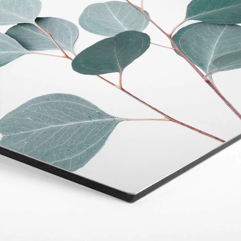 Hexagon - Alu-Dibond Sisi & Seb - Blauer Eukalyptus 