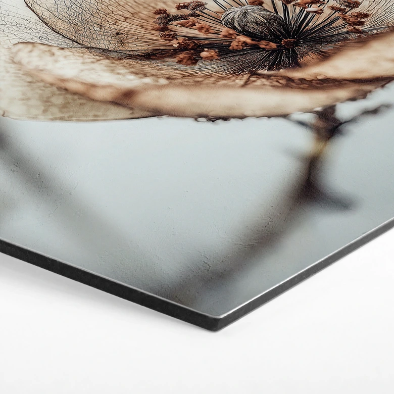 Hexagon Wandbild Trockenblüte Beige Naturpoesie - Treechild - Alu-Dibond 