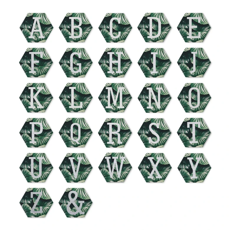 Hexagon Alu-Dibond Silver Deco-Letters Jungle 