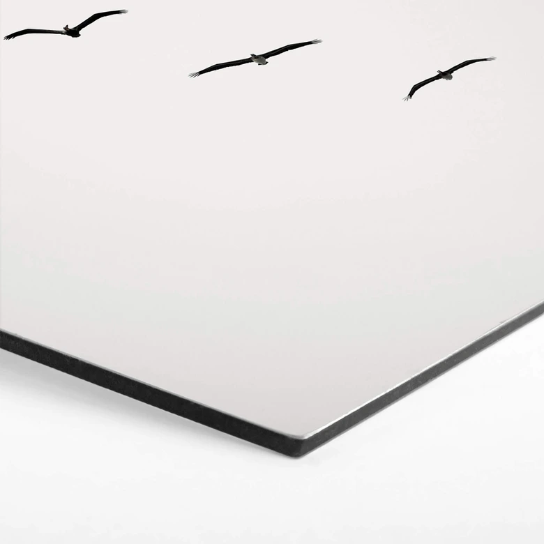 Hexagon Dibond Kubistika - High in the Sky 