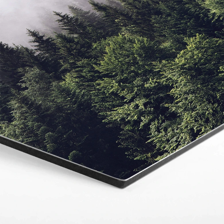 Hexagon Dibond Mistig Bos 