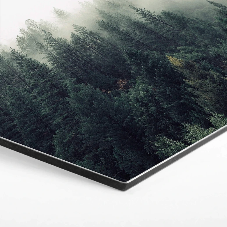 Hexagon - Alu-Dibond - Pure Nature 