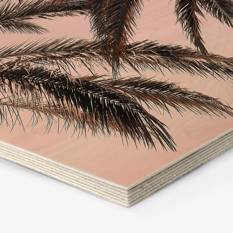 Hexagon - Holz 1X Studio - Palmen 