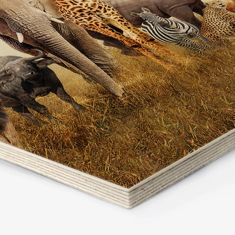 Hexagon Hout Afrikaanse Dieren 