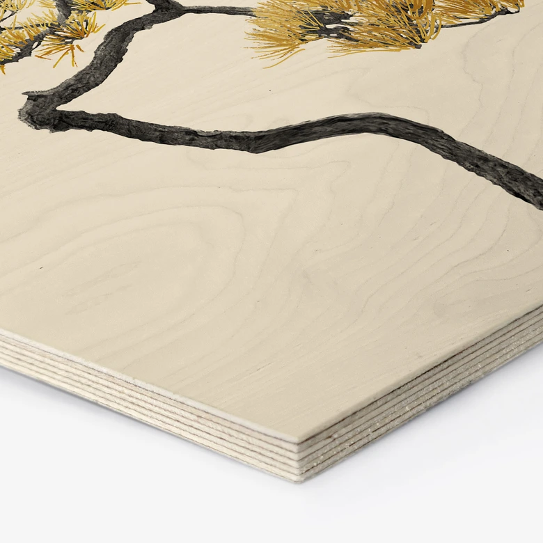 Holzbild Bonsai in Balance - Amini 