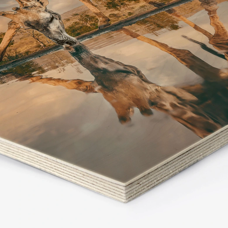 Hexagon Holzbild Reflexion einer Giraffe in der Wildnis - Amtmann 
