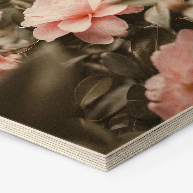Hexagon - Holz Annie - Rosenblüte 