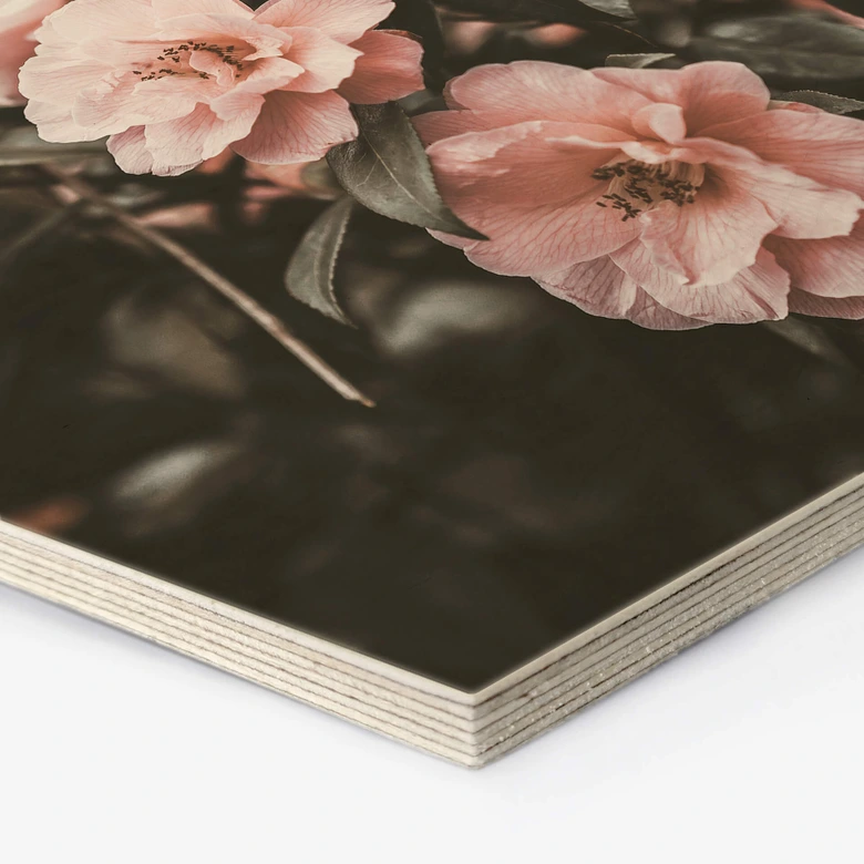 Hexagon - Holz Annie - Rosenstrauch 