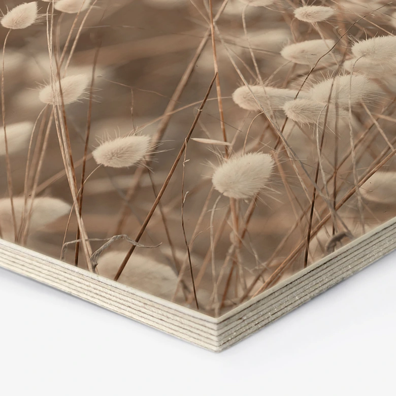 Hexagon Holzbild Zarte Gräser im Herbstlicht - Collins 
