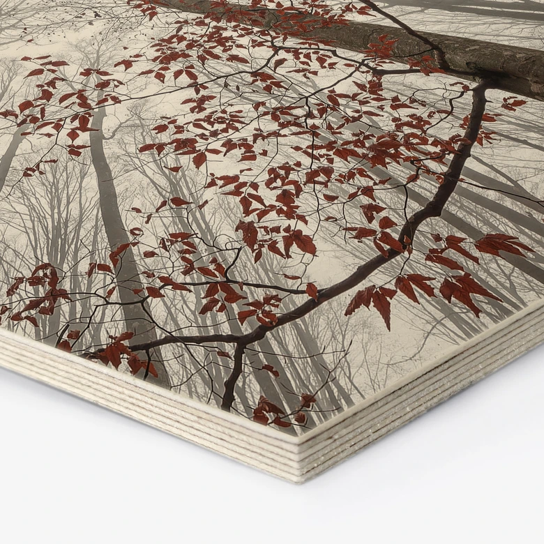 Hexagon Hout Boomtoppen met rode bladeren - Coman 