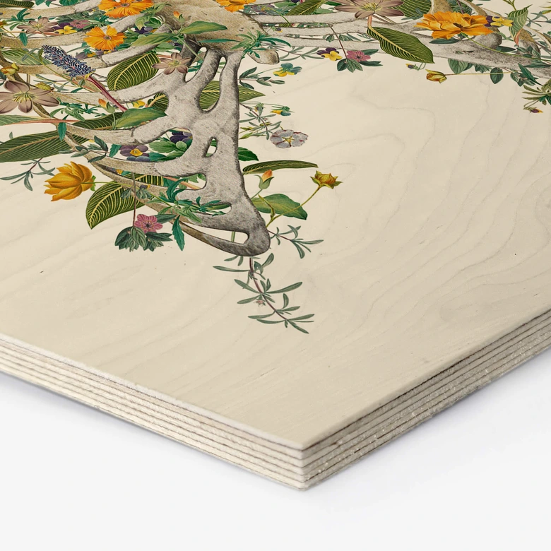 Wandbild Frida Floral Studio - Thorax Floral - Hexagon Holz 
