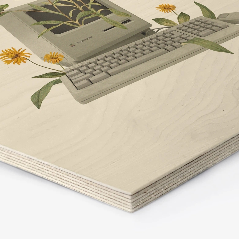 Hexagon-Holzbild Vintage Botanik-Computer - Frida Floral Studio 