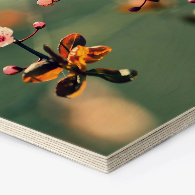 Houten Wanddecoratie zeshoek lente ontwaken 