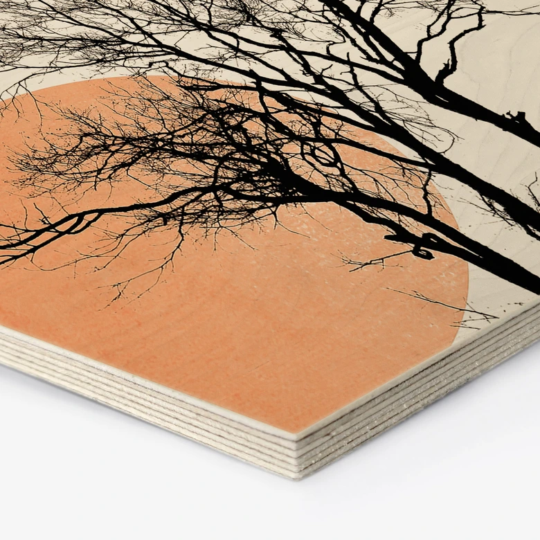 Hexagon Hout Zon en maan in oranje - Kubistika 