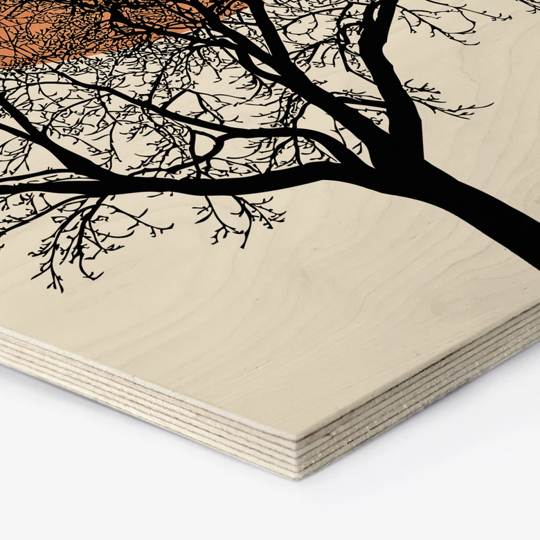 Hexagon Hout Wintermorgen in perzikkleur - Kubistika 