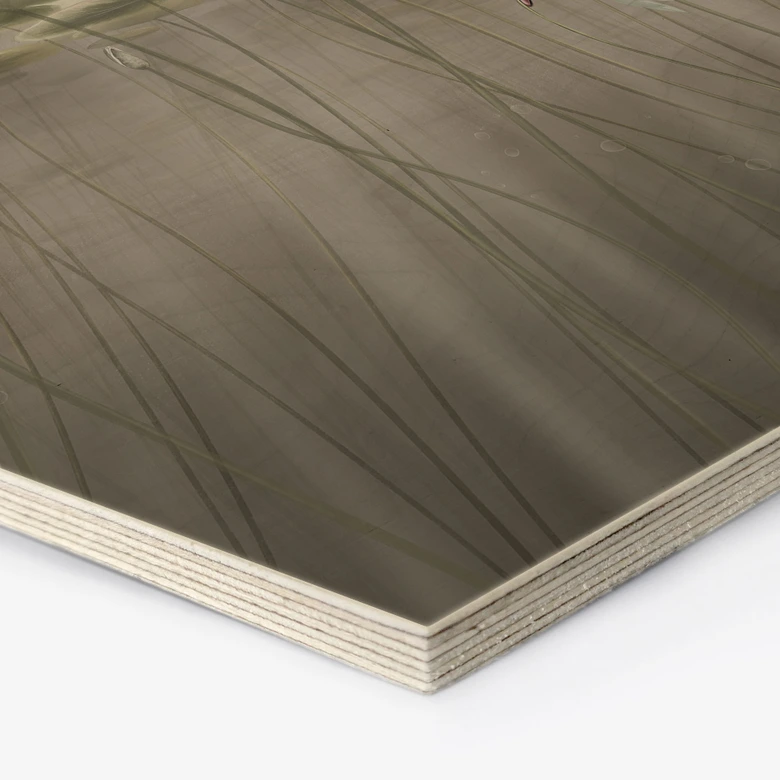 Hexagon Holzbild Lotusblumen mit Schwan im Wasser in Grau - Ms Tiff 