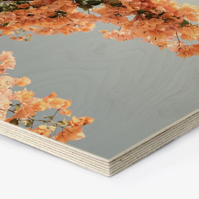 Hexagon Holzbild Pfirsichfarbene Blüten in Assos - Shot by Clint 