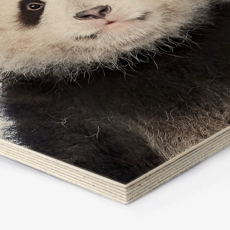 Hexagon - Holz Sisi & Seb - Baby Panda 