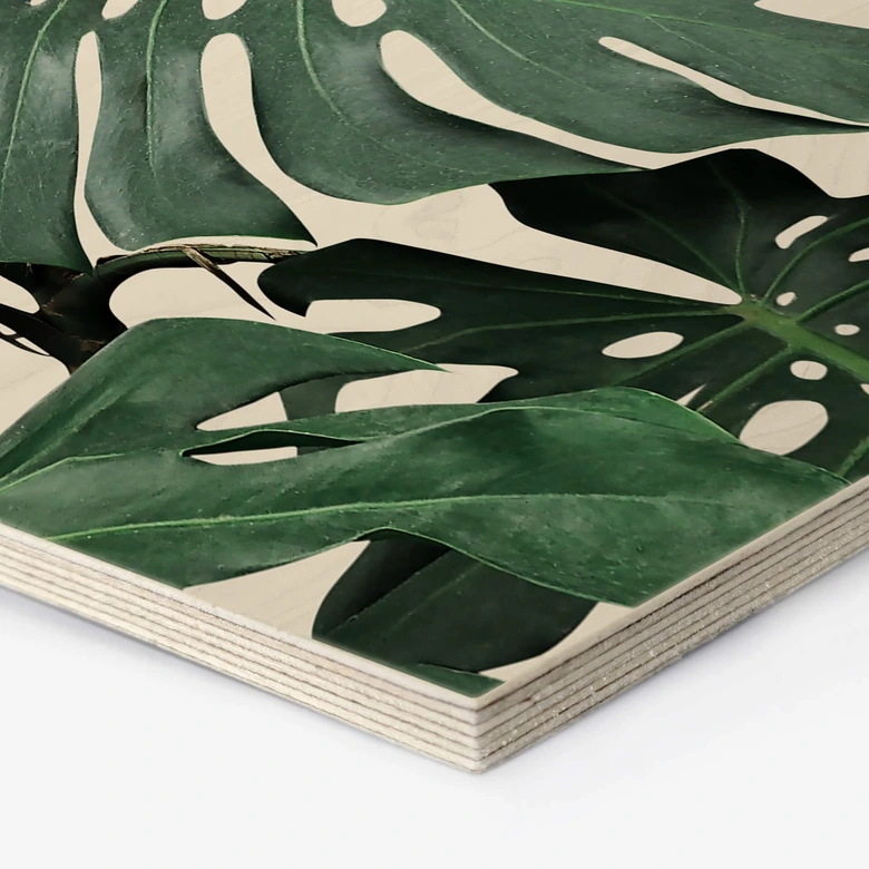 Hexagon - Holz Sisi & Seb - Monstera 