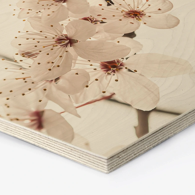 Hexagon Holzbild Zweig mit weißen Kirschblüten - Sisi & Seb 
