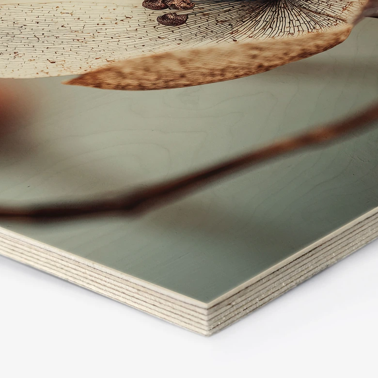 Hexagon Holzbild Boho Trockenblume Makro - Treechild 