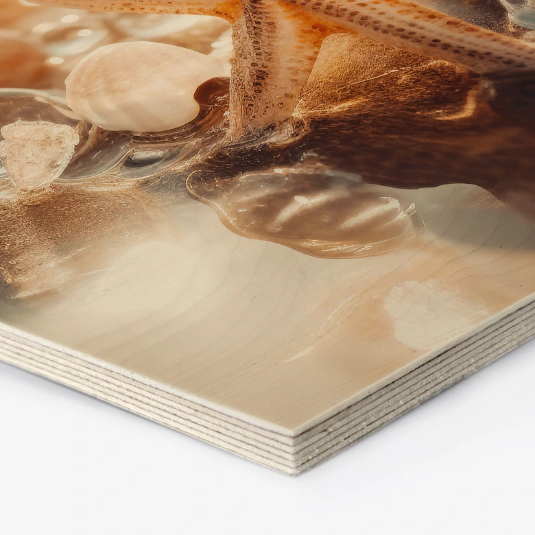 Hexagon Holzbild Muscheln am sonnigen Strand - Treechild 