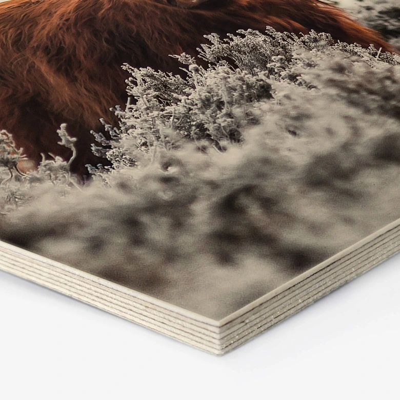 Hexagon Holzbild van den Helm - Highlander 