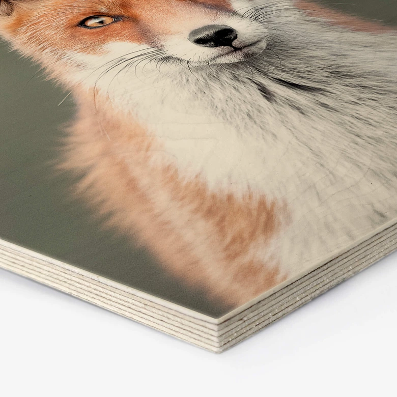 Hexagon - Holz van Duijn - Fuchsaugen 