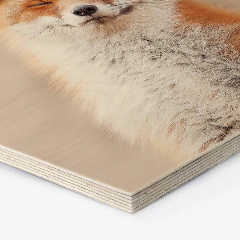 Hexagon - Holz van Duijn - Zufriedener Fuchs 