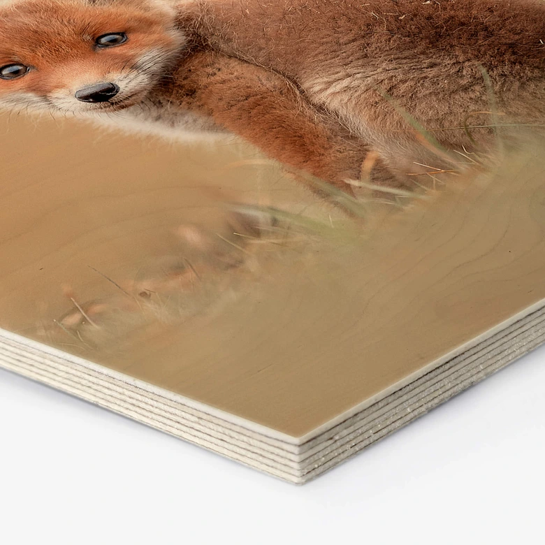 Hexagon - Holz van Duijn - Baby Fuchs 
