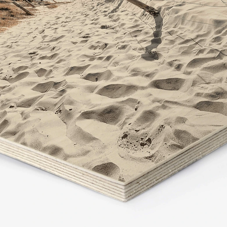 Hexagon Holzbild Strandaufgang Dünen 
