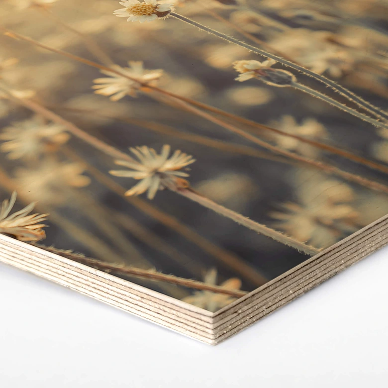 Hexagon - Holz Mexican Daisy 