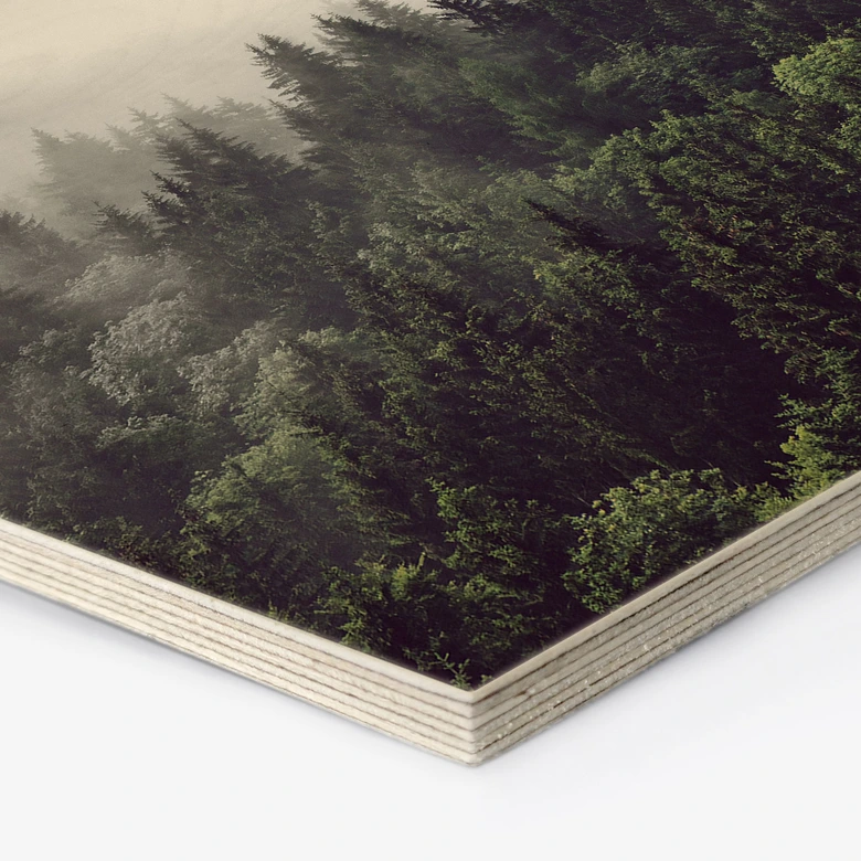 Hexagon - Holz Nebel im Wald 02 
