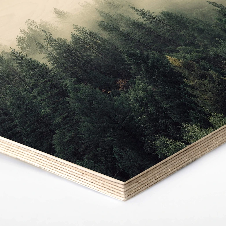 Hexagon - Holz Birke-Furnier - Pure Nature 