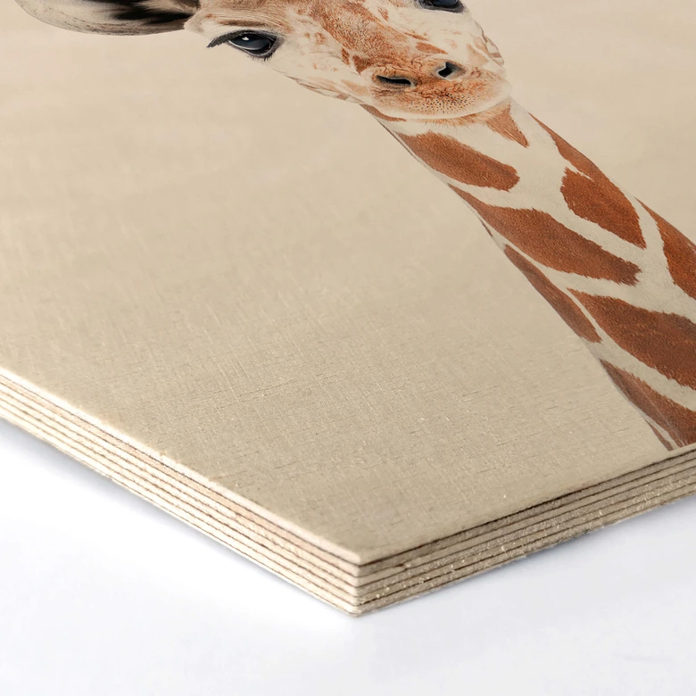 Hexagon - Holz Sisi & Seb - Baby Giraffe 