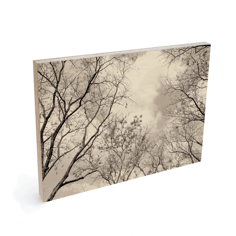 Holzbild Baumkronen im Himmel 