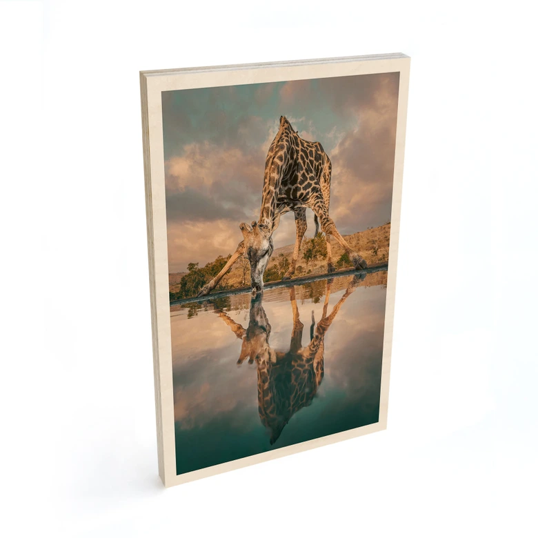 Holzbild Reflexion einer Giraffe in der Wildnis - Amtmann 