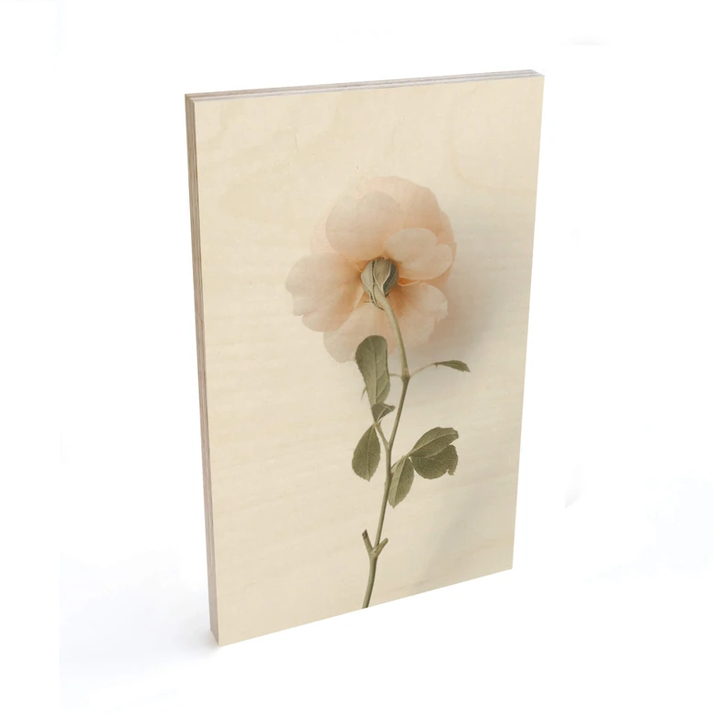 Houten Poster Annie - The Rose 