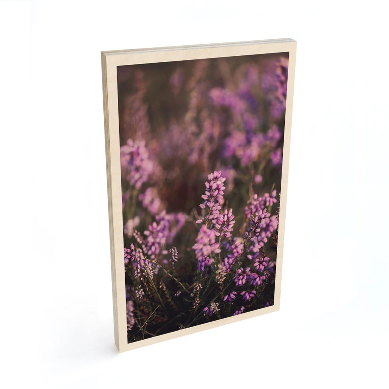 Holzbild Lila Heideblüte im warmen Licht - Annie 