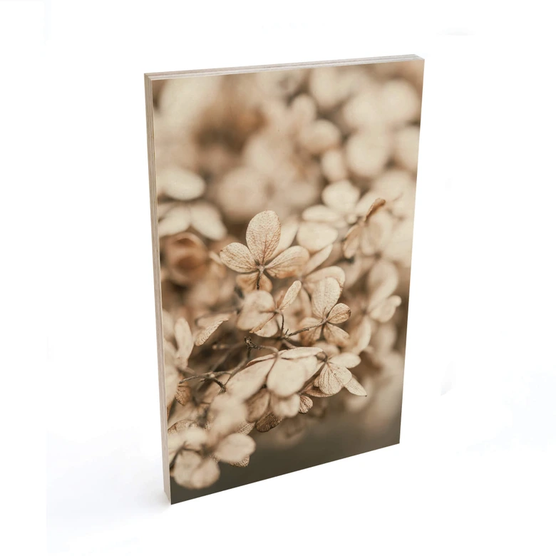 Holzbild Annie - Samtblüten 