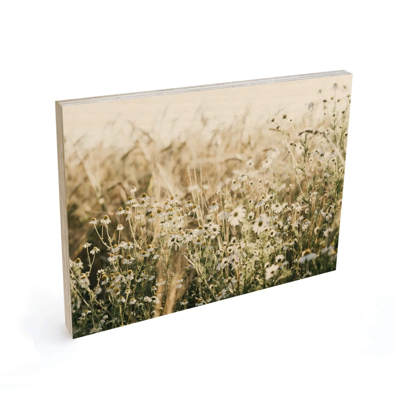 Holzbild Sommerwiese mit Kamille - Annie 