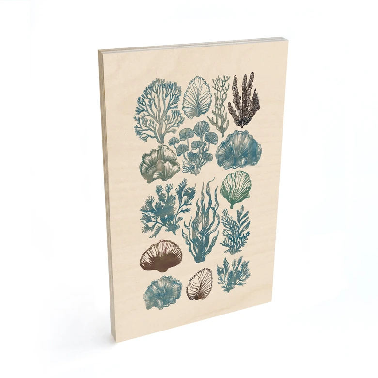 Träposter Filigran alger och snäckor - casa cartissi 