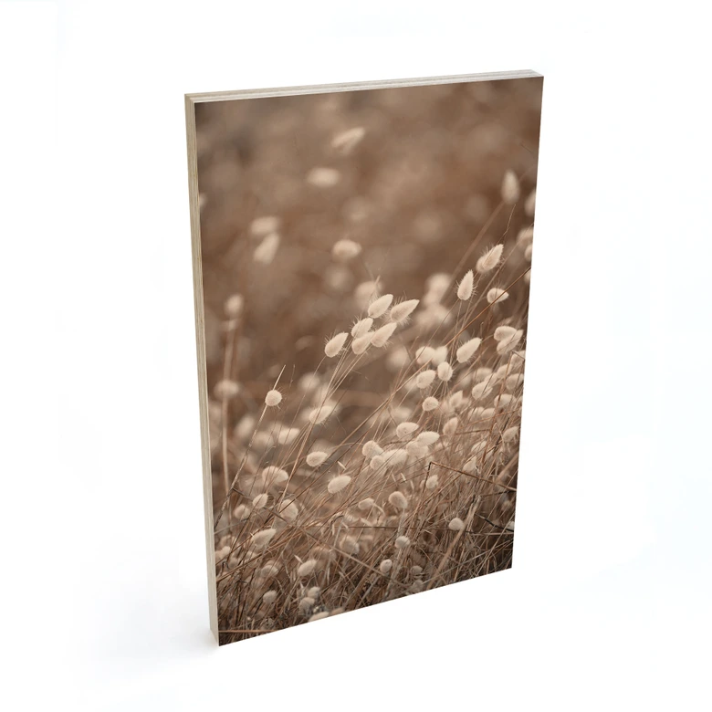 Holzbild Zarte Gräser im Herbstlicht - Collins 